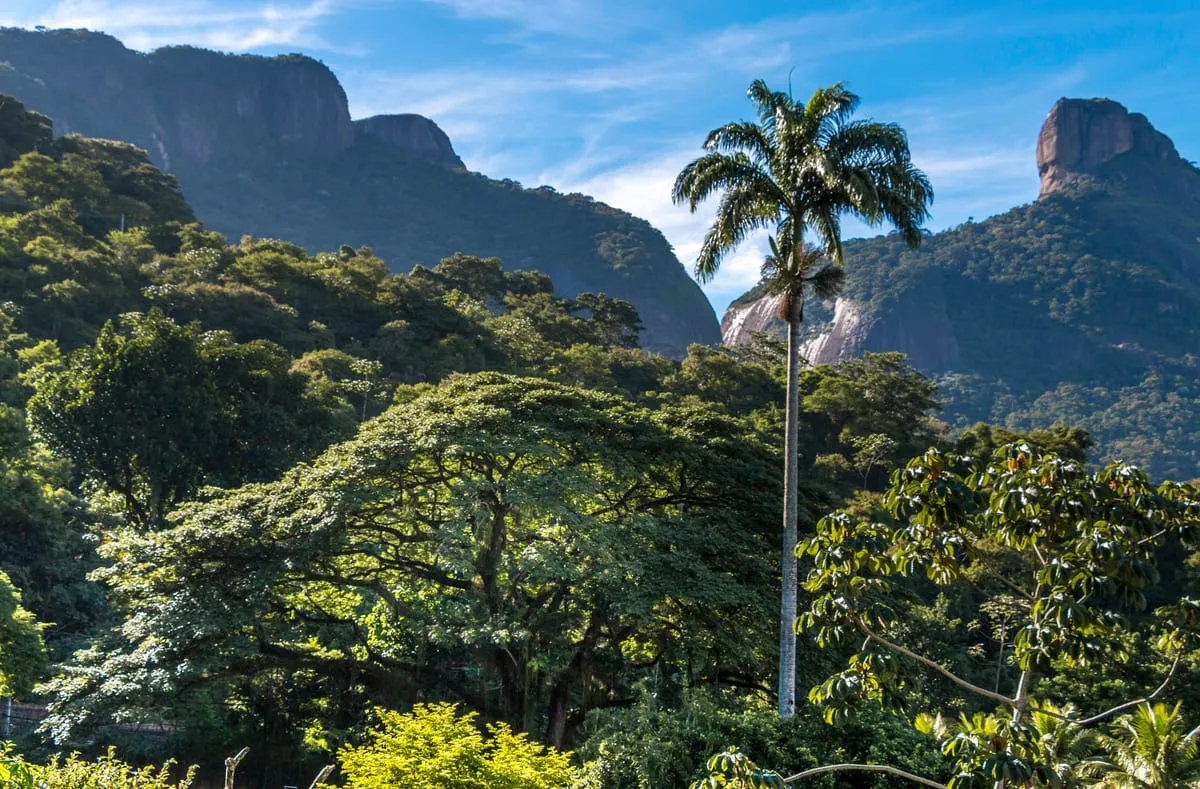La Floresta da Tijuca con la Pedra da Gávea al fondo