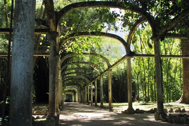 El Jardim Botânico do Rio de Janeiro