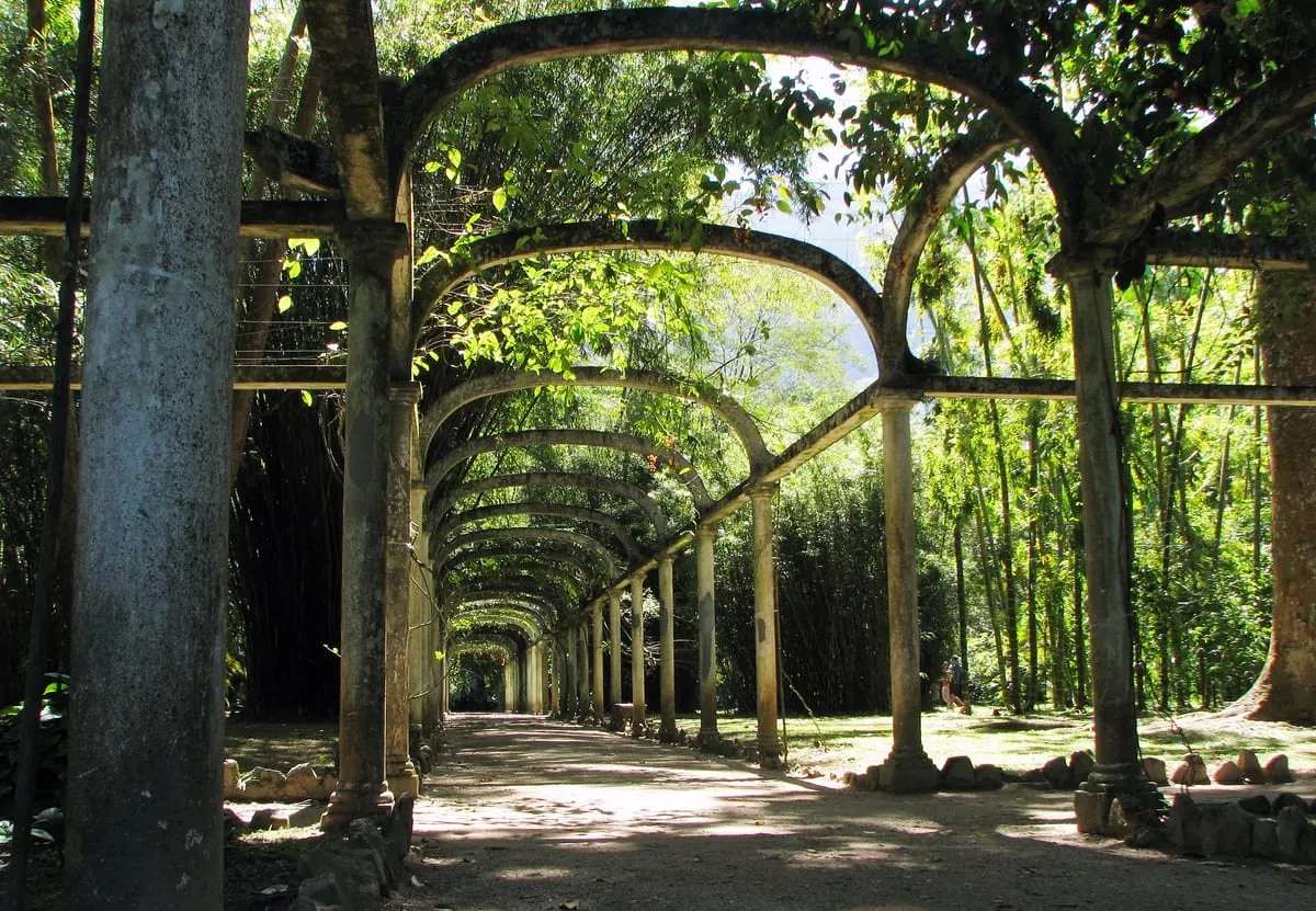 El Jardim Botânico do Rio de Janeiro